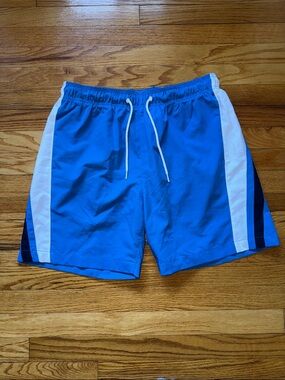 Men’s Speedo Swim Trunks Bright Blue Large